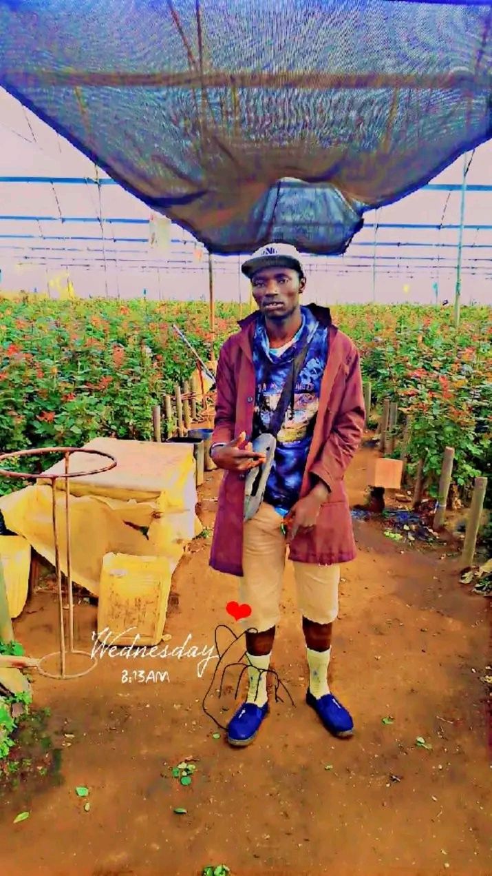 Namani Mukabi 